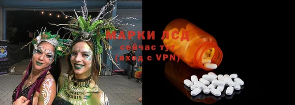 ГАЛЛЮЦИНОГЕННЫЕ ГРИБЫ Алзамай