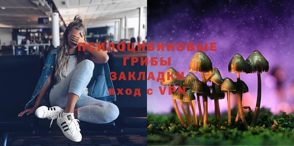 ГАЛЛЮЦИНОГЕННЫЕ ГРИБЫ Алзамай