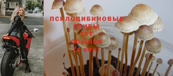 герыч Алексин