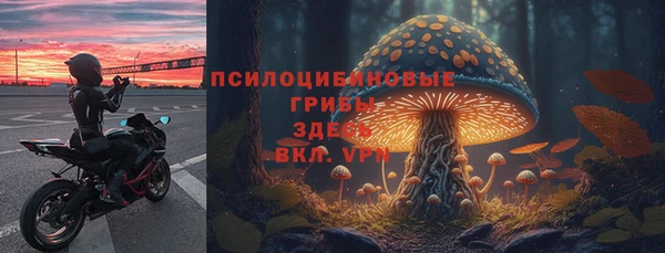 герыч Алексин