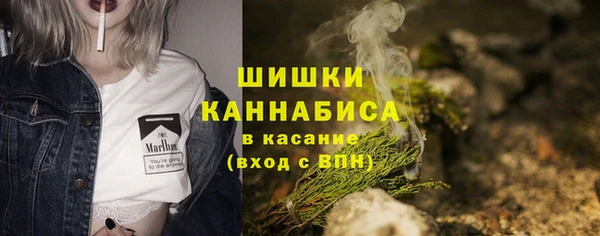 ПСИЛОЦИБИНОВЫЕ ГРИБЫ Алексеевка